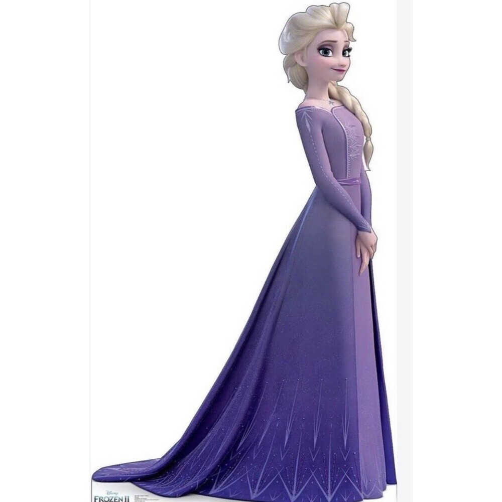 Disney Store Frozen II Elsa Dress Halloween Costume Size L 12-14 Years NWT - Picture 9 of 9